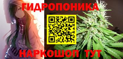 spice Кинель