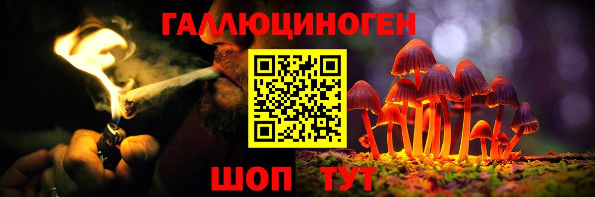 Псилоцибиновые грибы Psilocybine cubensis Куйбышев